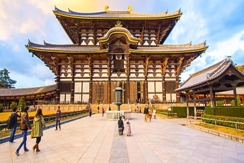 Discover Nara: The City of Deer, Temples & Timeless Beauty