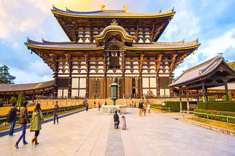 Discover Nara: The City of Deer, Temples & Timeless Beauty