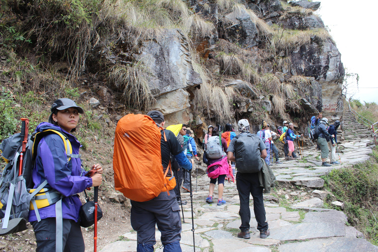 from Pokhara: 7-Day Annapurna Base Camp Trek