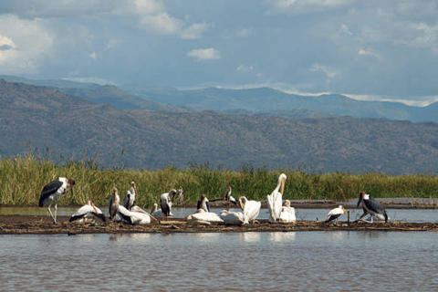3 Days Exploring Arba Minch: Lakes, Tribes & Nature