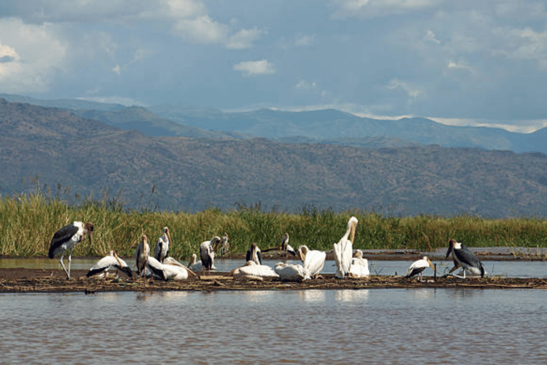 3 Days Exploring Arba Minch: Lakes, Tribes & Nature