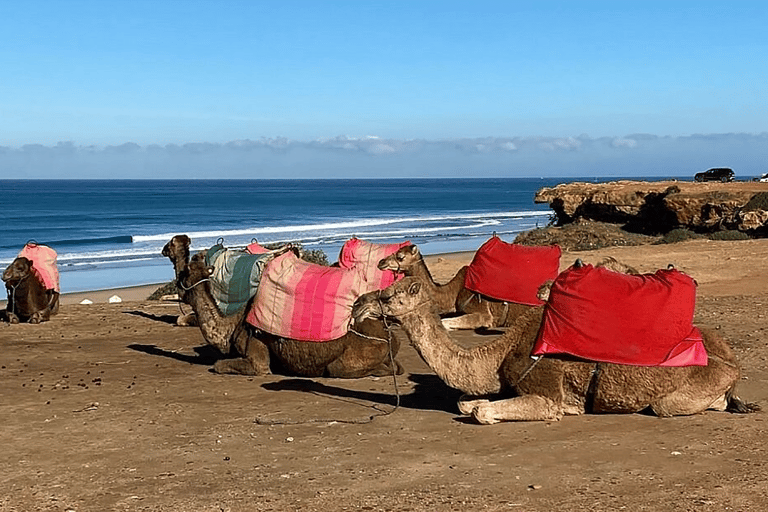 Tangier: Private Half-Day Tour and Camel Ride