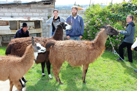 Arequipa: City Walking Tour Monumental in Arequipa