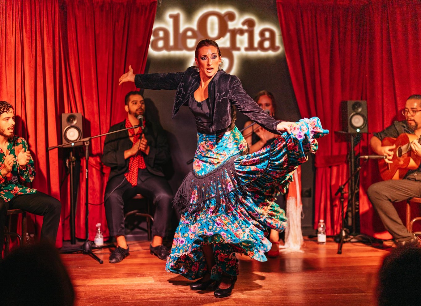 Málaga: Live flamenco-show på Flamenco Alegría