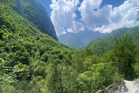 Van Berat naar Bogova waterval