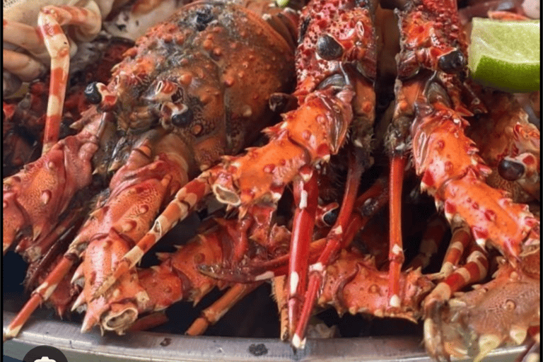 Mnemba Island , Snorkeling & Salaam cave with Expert guide Mnemba Island trip, Snorkeling with Expert local guide