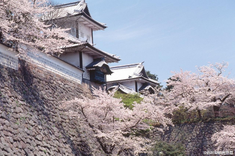 E-Bike Cycling with Guided Tour of Kanazawa Main & Kenrokuen