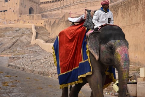 7-Day Golden Triangle Jodhpur Udaipur Tour from Delhi