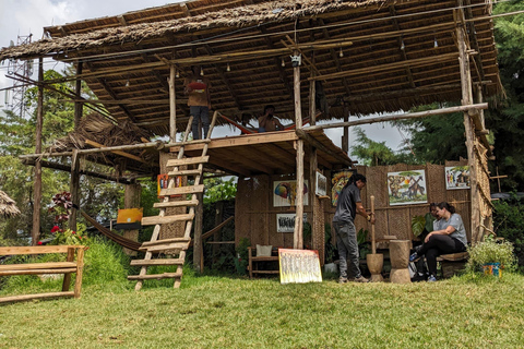 From Arusha: Coffee Farm and Mangalia Waterfalls Tour