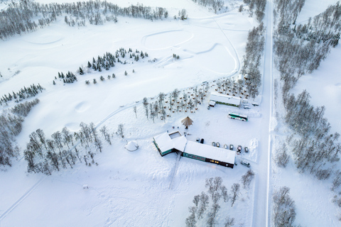 Da Tromsø: Esperienza Husky con giro in slitta trainata da cani in autonomiaEsperienza Husky e tour in slitta trainata da cani: 8:10 AM