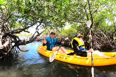 Noosa Heads: Hidden Waterways Wildlife Kayak (Self-Guided)