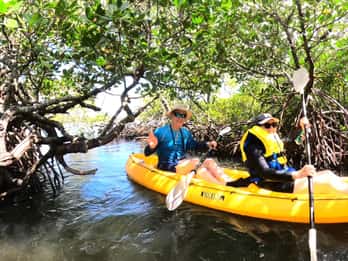Noosa Heads: Hidden Waterways Wildlife Kayak (Self-Guided)