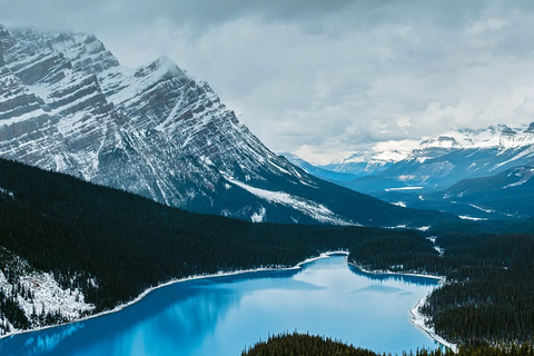 Icefield Glacier & Skywalk Full-Day Tour