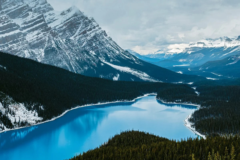 Icefield Glacier & Skywalk Full-Day Tour