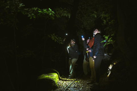 Monteverde: Night Walk at Finca Lantana by the Owners
