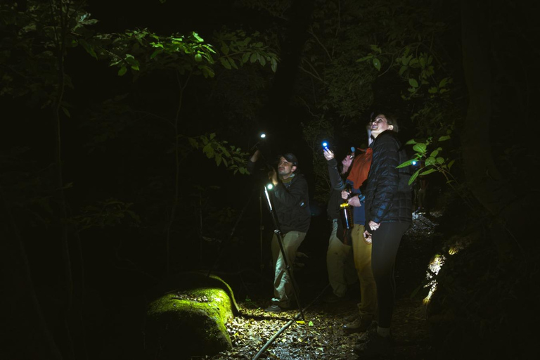 Monteverde: Night Walk at Finca Lantana by the Owners