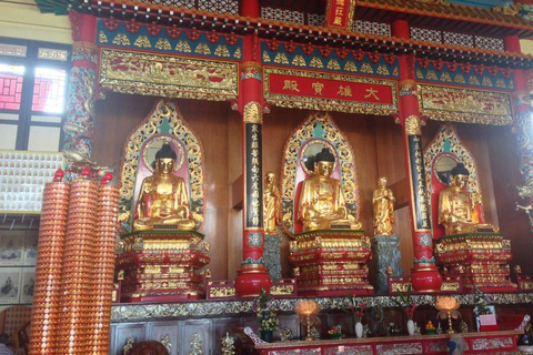 Ganztagestour in Sepilok Orang-Utan, Sonnenbär &amp; Stadtführung Sandakan(Private Tour) Sepilok Orang-Utan, Sonnenbär &amp; Stadtführung