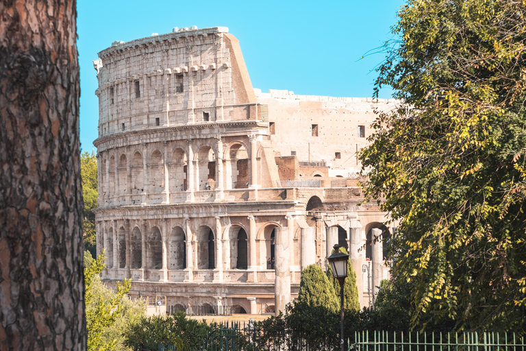 Rom: Colosseum Colosseum, Palatinkullen, Forum Romanum UpplevelseColosseum med standardtillträde och audioguide