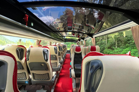 Grindelwald, Interlaken & Lauterbrunnen Day Trip Tour from Lucerne