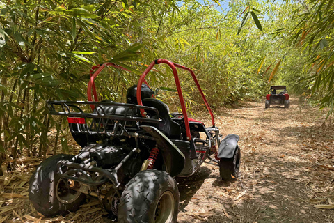 Bamboo Dune Buggy Tour