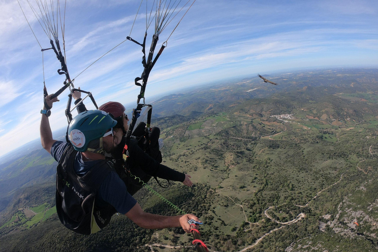 Gleitschirmfliegen: in der Nähe von Ronda (Málaga)