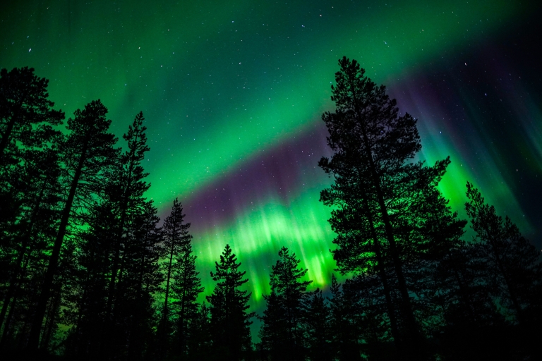 Para toda la familia: Aventura en Aurora Boreal desde Rovaniemi
