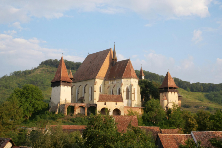 Bucharest: 3-Day Transylvania Tour with Brasov and Sibiu