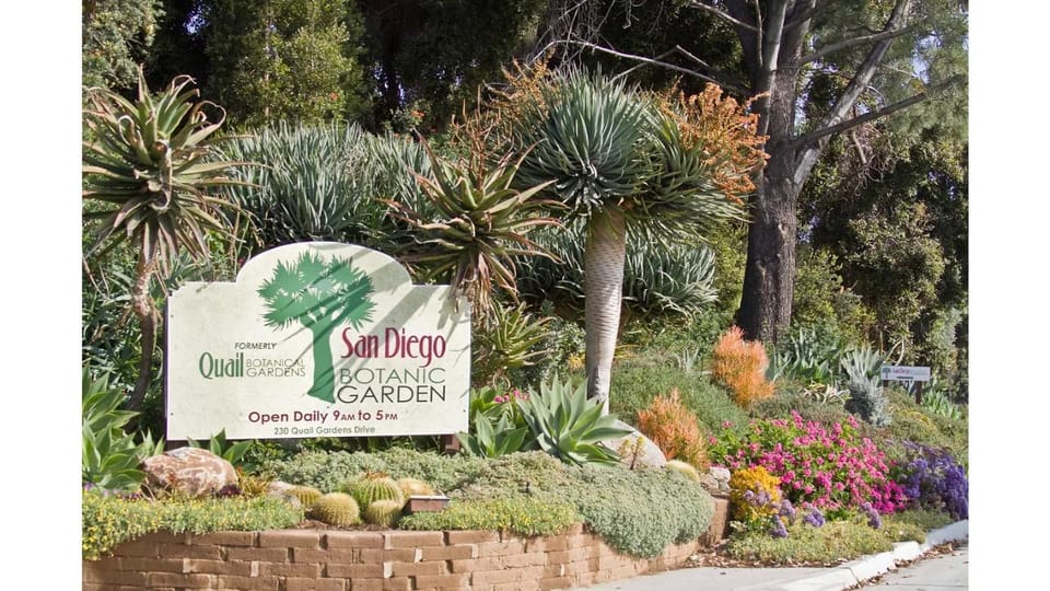 San Diego Botanical Garden Entry Ticket and Transportation | GetYourGuide