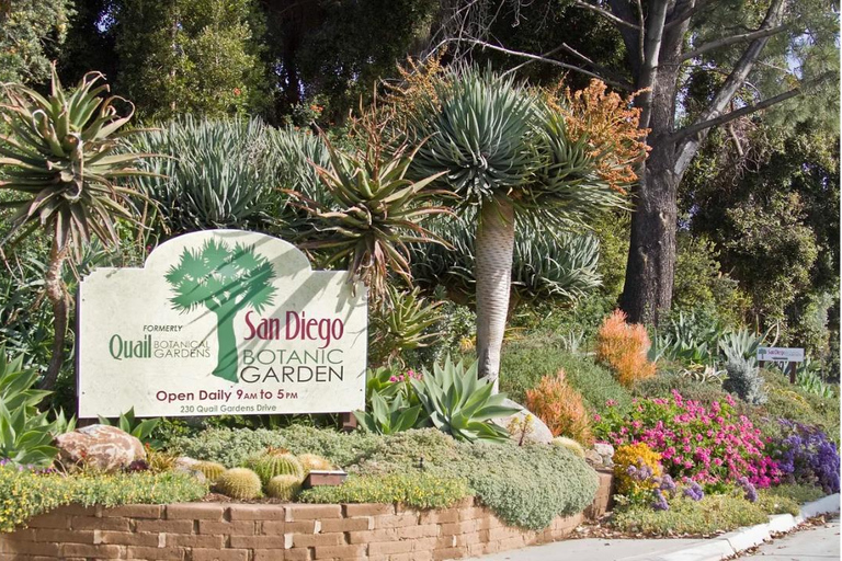 Billets d&#039;entrée au jardin botanique de San Diego et transport