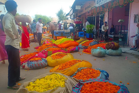 Jaipur : Marché aux fleurs, Fort d&#039;Amber, Temple des singes et visite de la villeVisite guidée sans guide