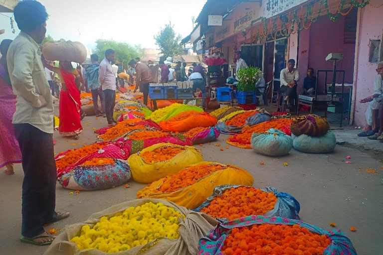 Jaipur : Marché aux fleurs, Fort d&#039;Amber, Temple des singes et visite de la villeVisite guidée sans guide