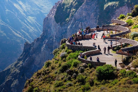 Arequipa: Tour de día completo al Cañón del Colca con traslado a PunoArequipa: Excursión de día completo al Cañón del Colca con traslado a Puno