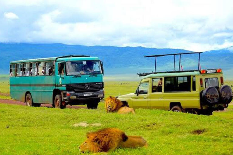 Majestic landscapes: A 5day Safari Adventure