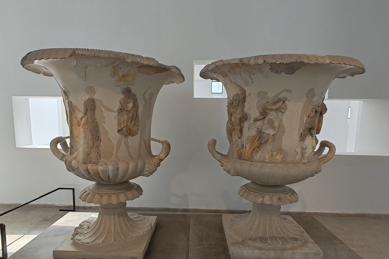 Tunis: Bardo Museum and Medina Guided Tour