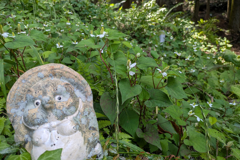 From Osaka: Horyuji Temple and Mount Ikoma Day Tour
