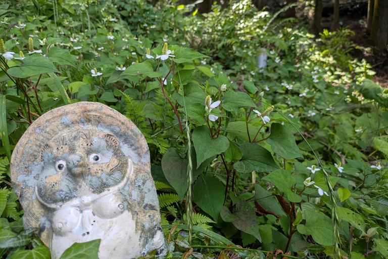 From Osaka: Horyuji Temple and Mount Ikoma Day Tour