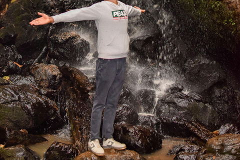 Kenya: la più lunga avventura in zipline in Africa a The Forest.