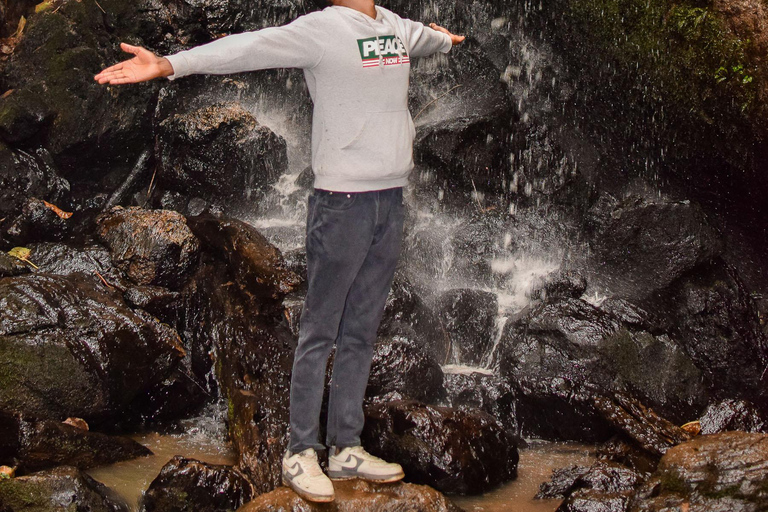 Kenya: la più lunga avventura in zipline in Africa a The Forest.