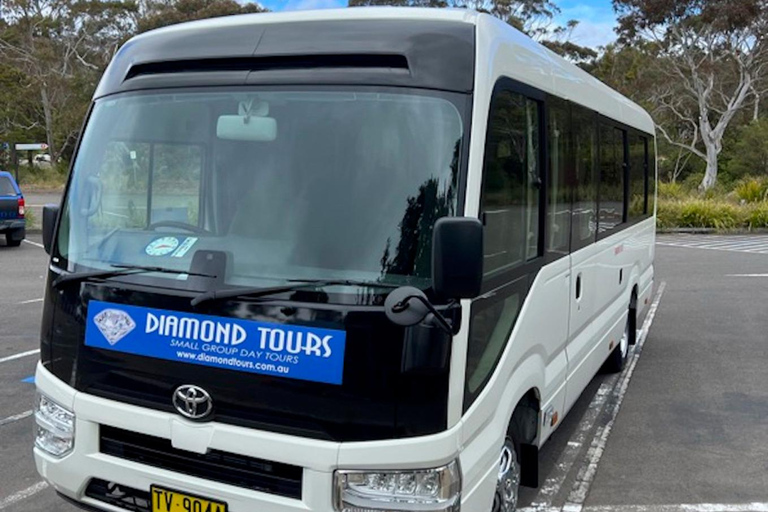 Depuis Sydney : excursion aux montagnes bleues en minibus