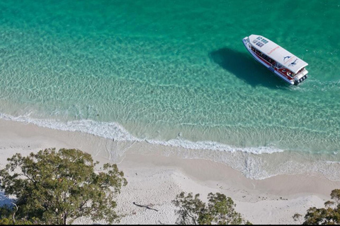 Salalah Dolphin Watching Boat Tour with Refreshments