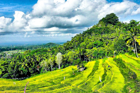 بالي: من القمم المقدسة إلى وادي الأزهار الأبديةبالي: من القمم المقدسة إلى وادي الأزهار الخالدة