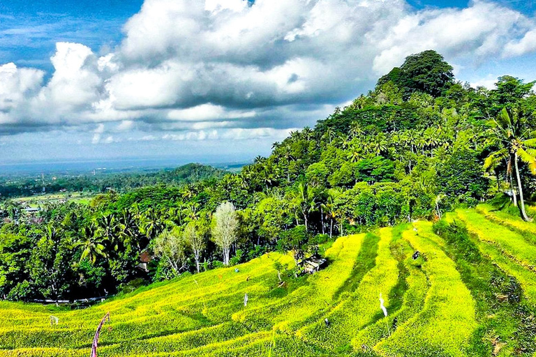 بالي: من القمم المقدسة إلى وادي الأزهار الأبديةبالي: من القمم المقدسة إلى وادي الأزهار الخالدة