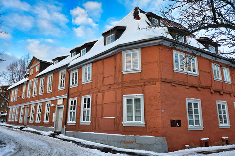 City tour in Braunschweig, Brunonen, monks and saints City tour of Braunschweig for 3 to 6 people