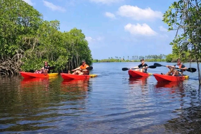Bentota: Guided River Kayaking Tour with Refreshments