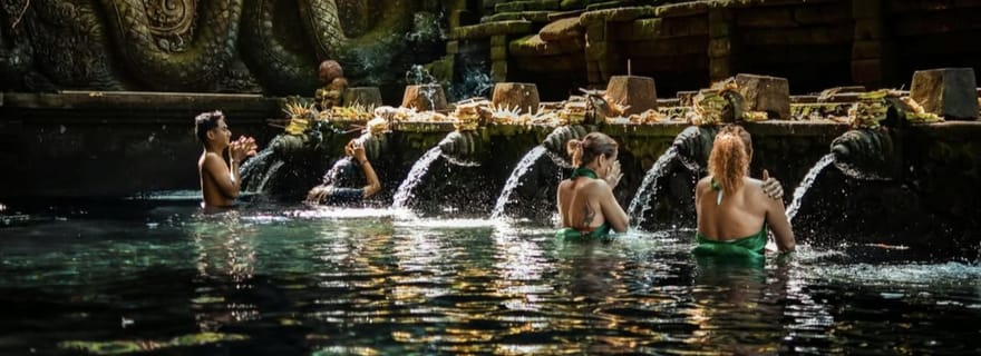 Ubud : visite privative, cascade, temple Tirta Empul et balançoire