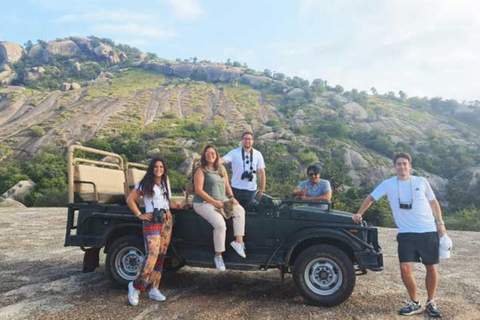 From Udaipur: 3-Day Jawai Leopard Safari & City Tour