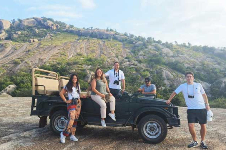 From Udaipur: 3-Day Jawai Leopard Safari & City Tour