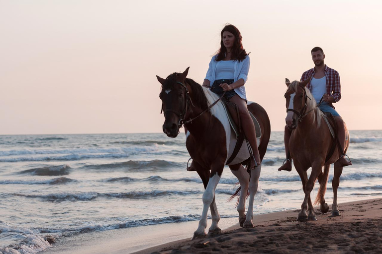Menorca: Horseback Ride to Cala Fustam Beach and Swim