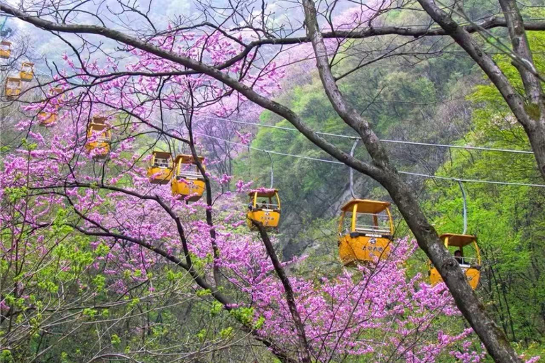 Xi'an：Taiping National Forest Park Ticket+opt guide