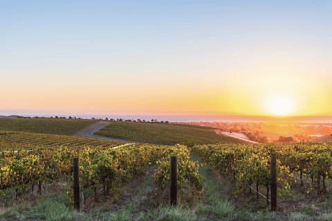 Barossa Valley: Pacchetto di due giorni in mongolfiera e alloggio